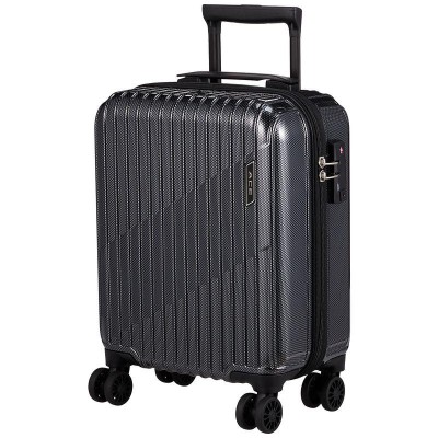 新品未使用！ACE キャリーケース 31L Ace 最大42%☆7/29から 特典付 エース スーツケース ACE