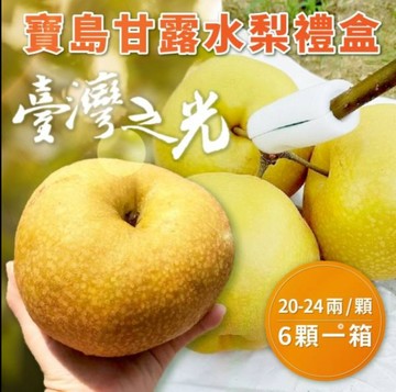 【緁迪水果JDFruit】寶島甘露梨 巨無霸甘露梨 台中東勢緁迪自家甘露梨！台灣小農 l 緁迪水果 l
