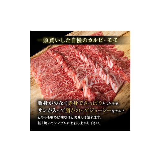 ふるさと納税 滋賀県 豊郷町 近江牛A5ランク焼き肉用カルビ・モモ700g