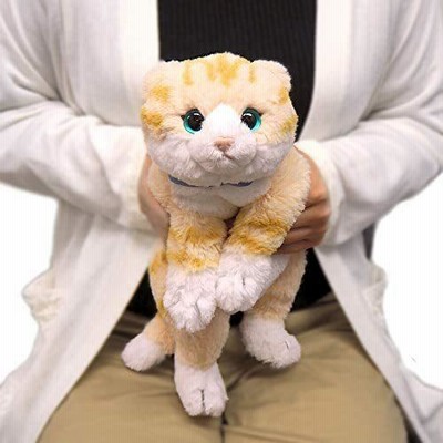 ひざねこ温 スコティッシュフォールド(クリーム) P-6082 | LINE