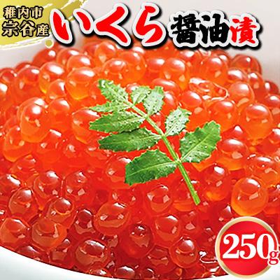 ふるさと納税 稚内市 いくら醤油漬250g