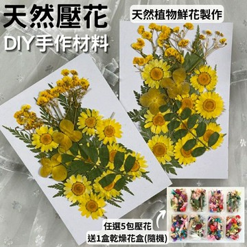 【A-ONE】花包組合 真花壓花 彩色永生花 天然花材 DIY水晶滴膠 乾燥花 植物標本 押花材料包
