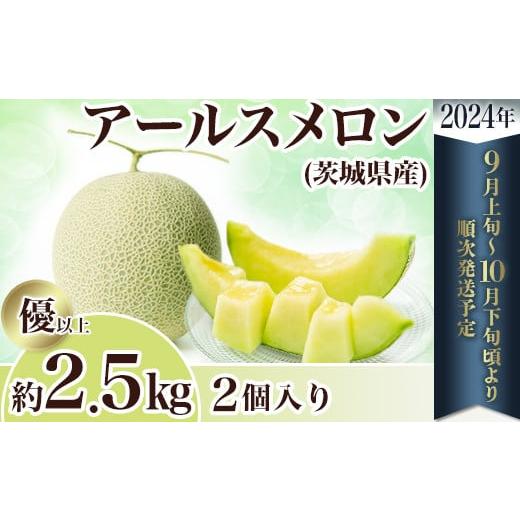 ふるさと納税 茨城県 下妻市 12-11茨城県産アールスメロン約2.5kg（2個）