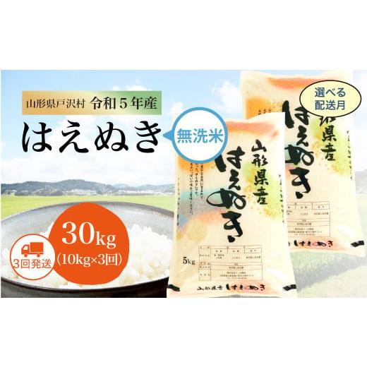 令和5年産 山形県戸沢村 厳選 はえぬき   30kg 定期便（10kg×1カ月ごと3回お届け） ＜配送時期指定可＞