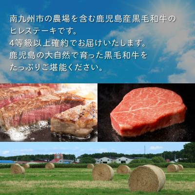 ふるさと納税 南九州市 鹿児島県産黒毛和牛4等級以上ヒレステーキ3枚