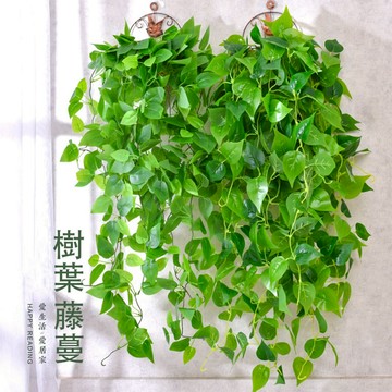 🍃仿真樹葉藤蔓🍃 仿真綠植 綠蘿葉 客廳牆掛 壁掛樹葉 萬年青 垂吊樹葉藤條 葉子 室內藤蔓 室外裝飾 藤蔓管道纏繞花藤