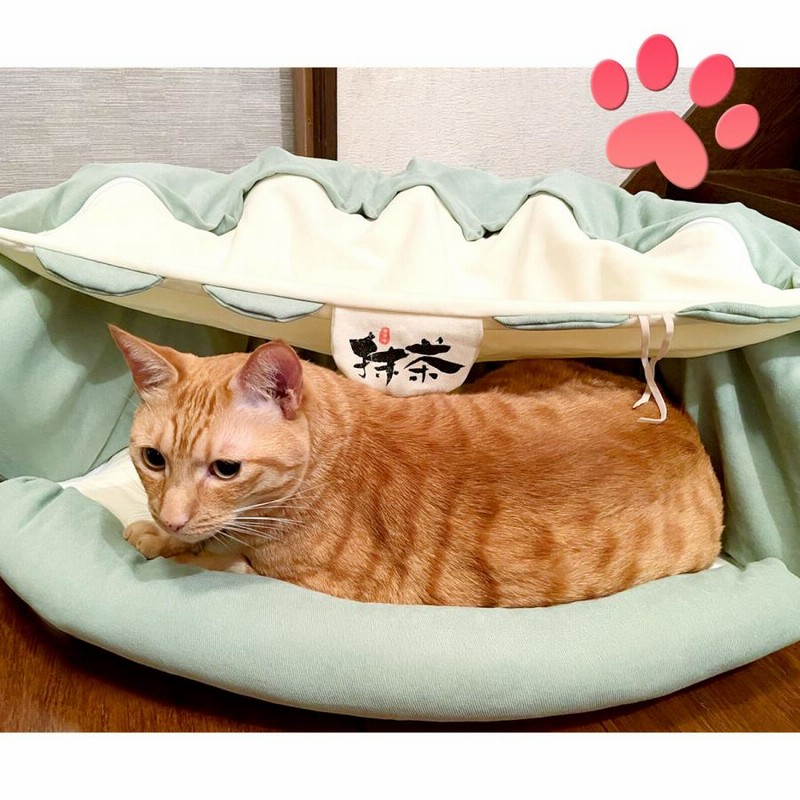 猫 トンネル おもちゃ ネコ トンネル ベッド ハウス 犬 うさぎ ペット ねこちぐら ねこ ペットベッド 折りたたみ キャットトンネル カフェタイプ 通販 LINEポイント最大0.5%GET LINEショッピング 猫 トンネル おもちゃ ネコ トンネル ベッド ハウス 犬 うさぎ ペット ねこちぐら ねこ ペットベッド 折りたたみ キャットトンネル やさいタイプ