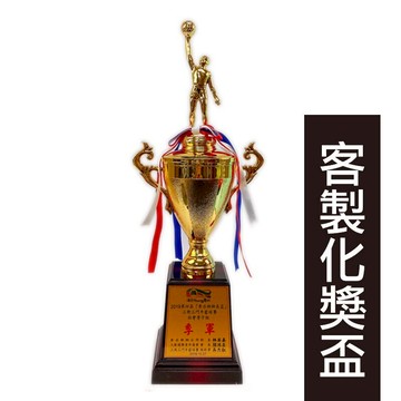 籃球獎盃 客製化獎盃 T007D/一個入(定800) 比賽獎盃 競賽獎盃 籃球獎座 冠軍獎盃 活動獎盃 訂製獎盃 運動獎盃