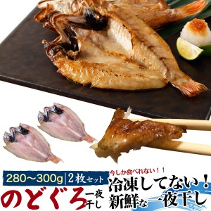 干物 のどぐろ 280～300g 2枚セット 今しか食べられない 一夜干し 山陰浜田 ノドグロ 高級魚 新鮮 お魚ギフト 贈物 プレゼント 冷蔵配送