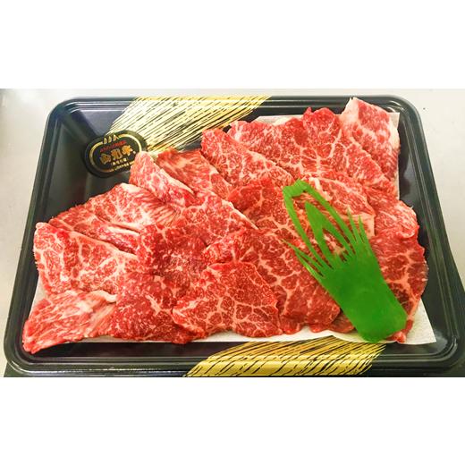 ふるさと納税 山形県 金山町 米の娘ぶた＆山形牛A5ランク「焼肉セット」×10ヶ月 F4B-0154