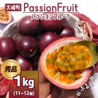 情熱のまちのパッションフルーツ（約１kg）