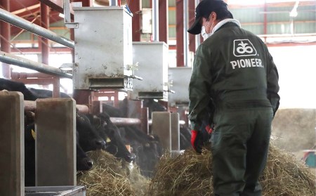 白老牛 すき焼き 霜降り ロース 500ｇ 特製すき焼きのたれ付き 和牛 ＜徳寿＞