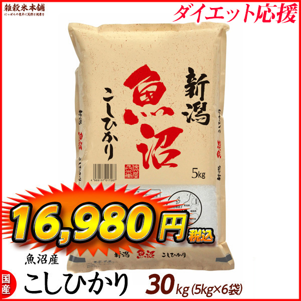 魚沼産 コシヒカリ 30kg(5kg×6袋) 精白米 国産 令和5年産 国産コシヒカリ100％ 送料無料 精米工場からの直送品