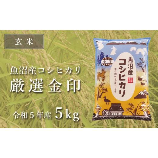 ふるさと納税 新潟県 津南町 ＜令和5年産新米＞魚沼産コシヒカリ「金印」高食味米 5kg