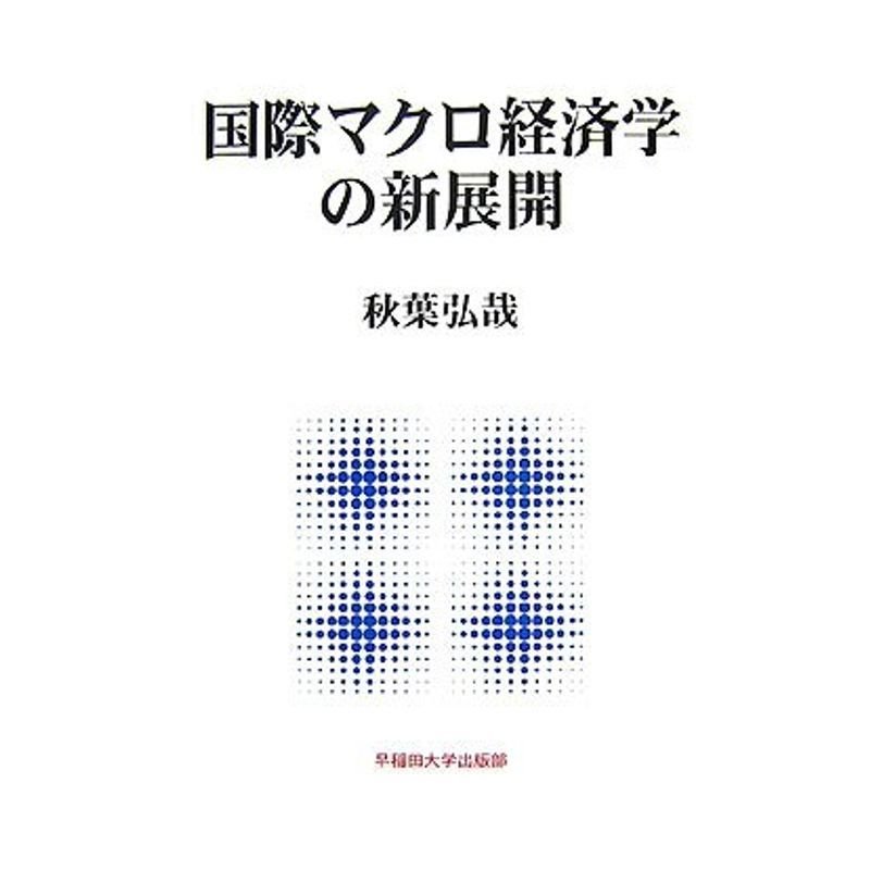 国際マクロ経済学の新展開