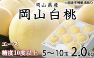 白桃 エース 5～10玉 約2kg JA おかやま のもも（早生種・中生種） 岡山県産 桃 もも 果物 フルーツ 2023年 先行予約
