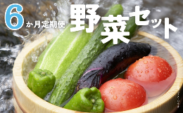 ＼ 6か月定期便 ／ 旬 の 有機野菜 詰め合わせ 野菜セット 野菜 野菜詰め合わせ 旬の野菜セット 旬の採れたて 酒々井 千葉 セット 季節の野菜 日用品 定期便