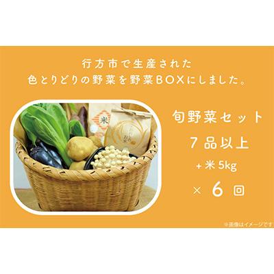 ふるさと納税 行方市 野菜王国なめがたの旬野菜の定期便(米入り)CU-137 全6回