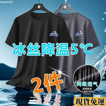 【台灣出貨】 【5255人收藏】夏季冰絲網眼短袖t恤男寬鬆大碼男裝簡約男士白色t透氣速幹短袖男