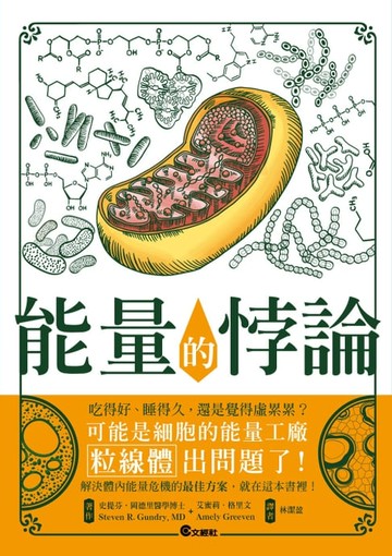 【電子書】能量的悖論