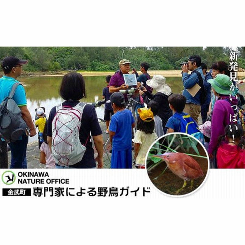 ふるさと納税 新発見がいっぱい！ 金武町 専門家による野鳥