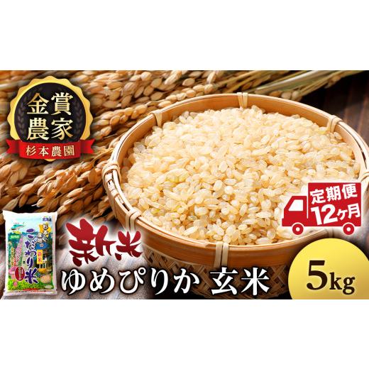 ふるさと納税 北海道 知内町  米 定期便 5kg 12ヶ月 ゆめぴりか 玄米 単一原料米 お米 金賞農家 杉本農園 