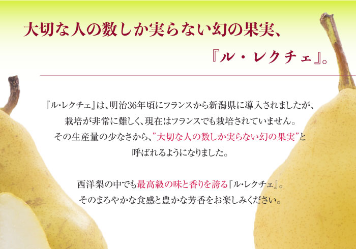 [予約 2023年11月1日～初荷分より順次発送] ルレクチェ ４kg 化粧箱 新潟県産 洋梨 ルレクチェ １４玉 産地直送