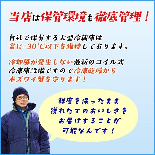 ボイル本ズワイ蟹脚 2kg カニ かに 船上凍結 グルメ ずわい 60代 70代  ギフト 食品