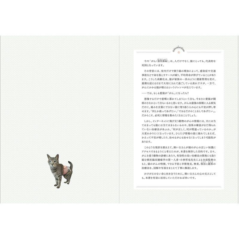 猫の がん ~正しく知って,向き合う