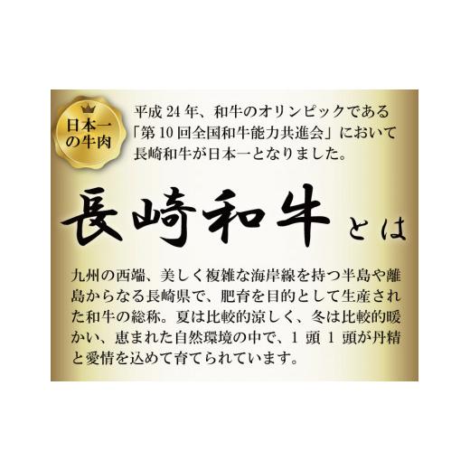 ふるさと納税 長崎県 雲仙市 長崎和牛 サーロインステーキ 300g