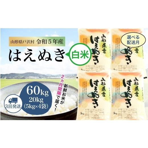 令和5年産 山形県戸沢村 厳選 はえぬき   60? 定期便（20kg×2カ月ごと3回お届け） ＜配送時期指定可＞