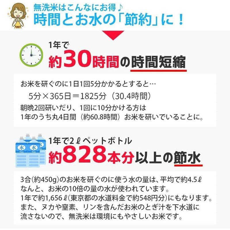 精米 無洗米 30kg (5kgx6袋) こつぶ姫 山形県産 白米