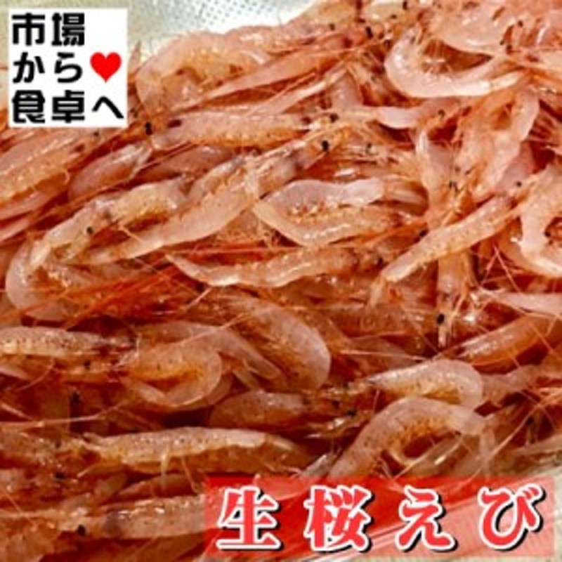 生桜エビ　秋漁始まりました　500g 新鮮　生食用