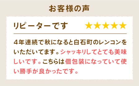 リピーター続々！白石町のれんこん！洗いれんこん約2kg（8～15袋入り）  新鮮なれんこんを産地直送！ シャキシャキ・ホクホクの甘いれんこん 蓮根 レンコン  [ICE001]