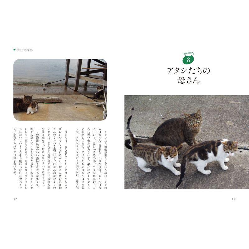 しあわせになった猫 しあわせをくれた猫