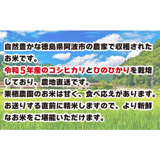 ふるさと納税 徳島県 阿波市 こしひかり ひのひかり 新米 お米  精米済 令和5年産 20kg 白米