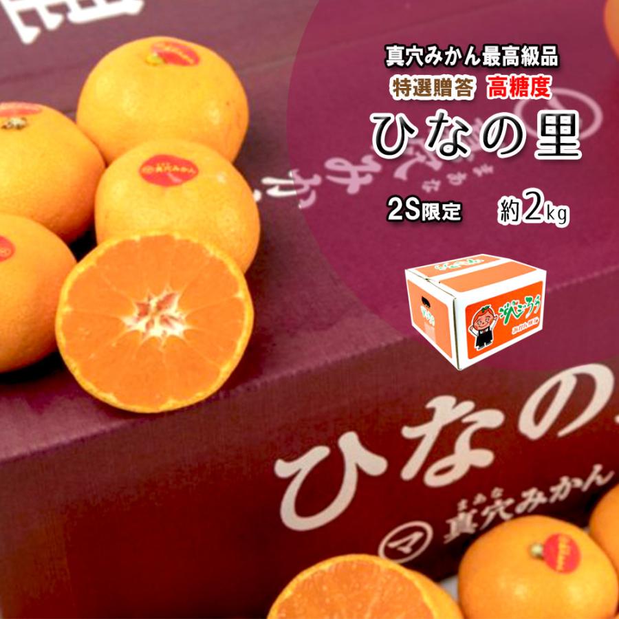 みかん 真穴みかん 贈答 ひなの里 お歳暮 2Ｓ 数量限定 真穴 高級みかん 約2ｋｇ 送料無料