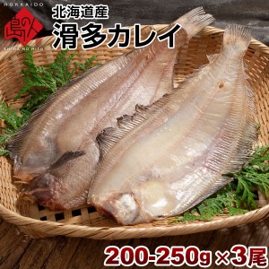 カレイ 北海道産 滑多鰈(なめたかれい)200-250g 3尾セット 旨さの秘密は自慢の昆布干物 北海道 お土産 お取り寄せ 食品 食べ