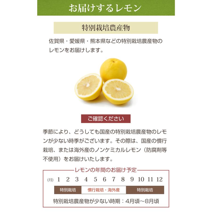 人参 無農薬にんじん 野菜セット 無農薬野菜 にんじんジュース ジュース用 8kg＋りんご3kg＋レモン1kg ゲルソン療法にも最適 訳あり