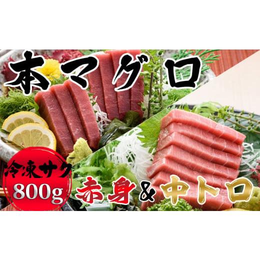 ふるさと納税 千葉県 鴨川市 本マグロ 赤身中トロセット 各400g[0026-0002]