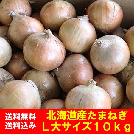 北海道 玉ねぎ 10kg 送料無料 北海道産 たまねぎ 10kg L大サイズ 共撰 たまねぎ 北海道 富良野産 もしくは 北見F1 野菜 玉ねぎ   タマネギ   玉葱