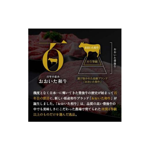 ふるさと納税 大分県 佐伯市 おおいた和牛 しゃぶしゃぶ用 モモ肉 (600g)  