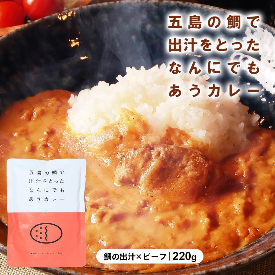 ごと 五島の鯛で出汁をとったなんにでもあうカレー ビーフ 220g 五島 カレー 出汁 キャンプ ビーフこだわり