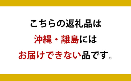 自家製ドレッシング　5本セット