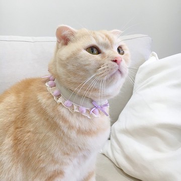 【恰氏手作】逸夢紫色×蕾絲綁帶寵物項圈 貓狗領巾 圍兜