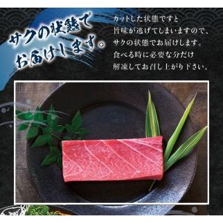 ふるさと納税 ＼年末発送！お正月に／本マグロ（養殖）トロ＆赤身セット 240g まぐろ 刺身 鮪 本鮪 クロマグロ 赤.. 和歌山県すさみ町