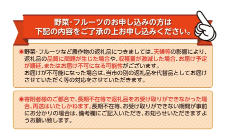 寿太郎 みかん 約 10kg 産地直送 柑橘 西浦 沼津 蜜柑　訳あり（寿太郎みかん 西浦 みかん 蜜柑 果物 みかん フルーツ みかん 柑橘 農家直送 みかん 産地直送 みかん 沼津 みかん 国産 みかん 訳あり みかん たっぷり みかん）