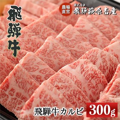 ふるさと納税 下呂市 飛騨牛カルビ 300g 牛肉 焼肉 焼き肉 下呂温泉