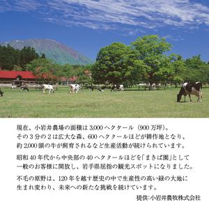 ふるさと納税 小岩井農場 のむヨーグルト 130ml×24本 ／ ヨーグルト ドリンク 岩手県雫石町