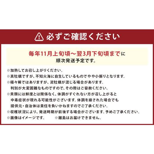 ふるさと納税 熊本県 上天草市 活き天草真牡蠣 2kg（100g以上×20個）加熱用かき 牡蠣 カキ